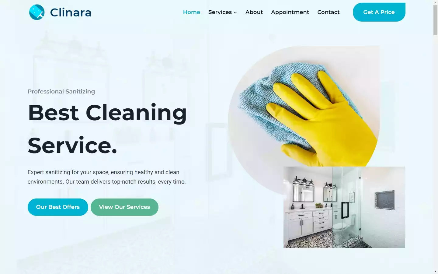 Image for clinara wordpress website